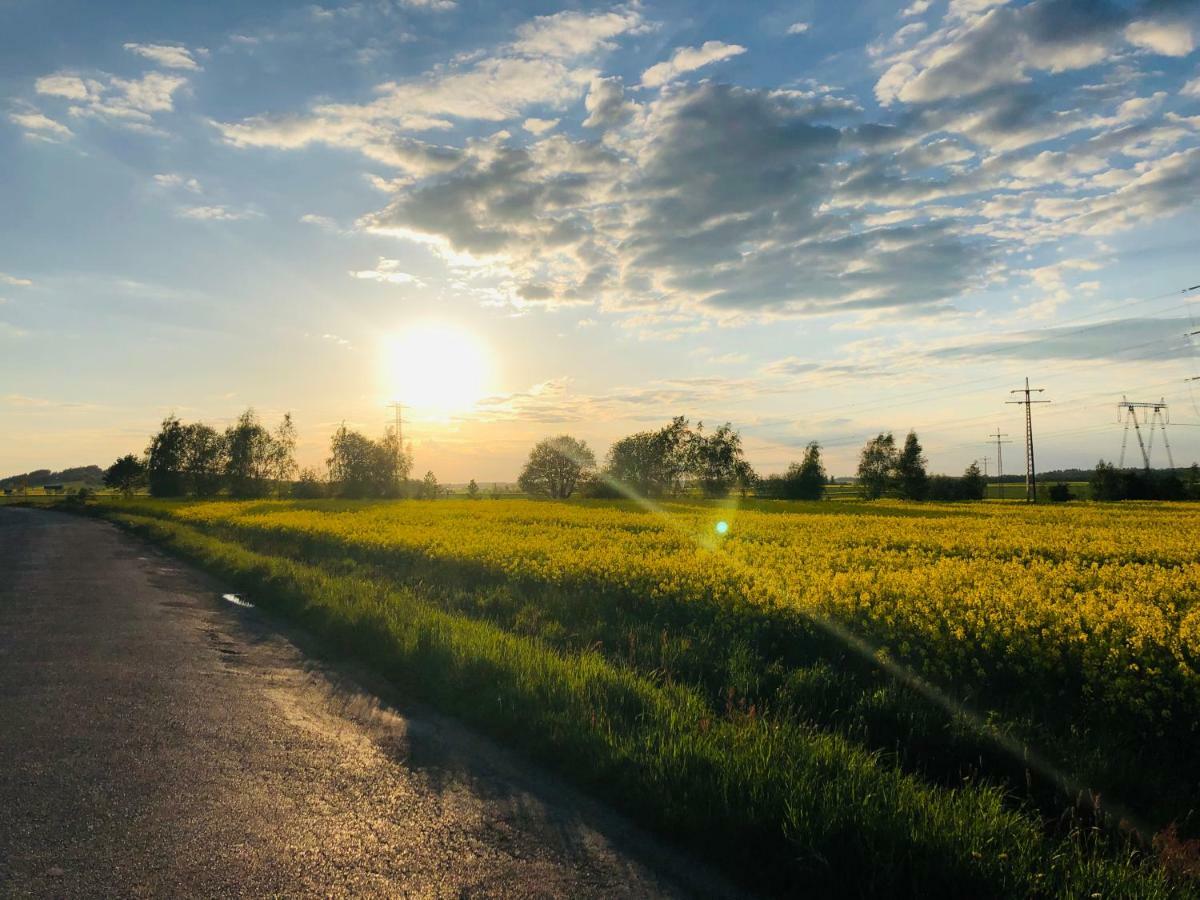 Nibylandia Dom Pod Lasem Nowa Wies Grodziska Bagian luar foto