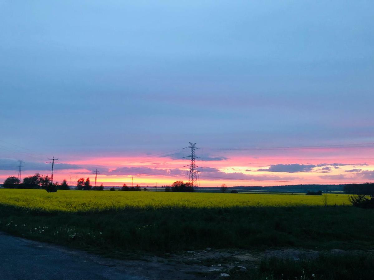 Nibylandia Dom Pod Lasem Nowa Wies Grodziska Bagian luar foto