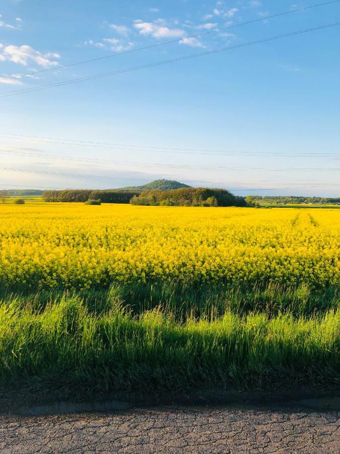 Nibylandia Dom Pod Lasem Nowa Wies Grodziska Bagian luar foto